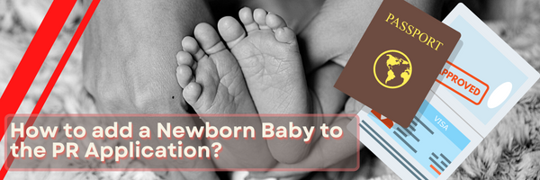 How to Include a Newborn Baby to the PR Application?