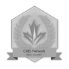 CAEL-Network-Badge-Silver-294x300 (1)